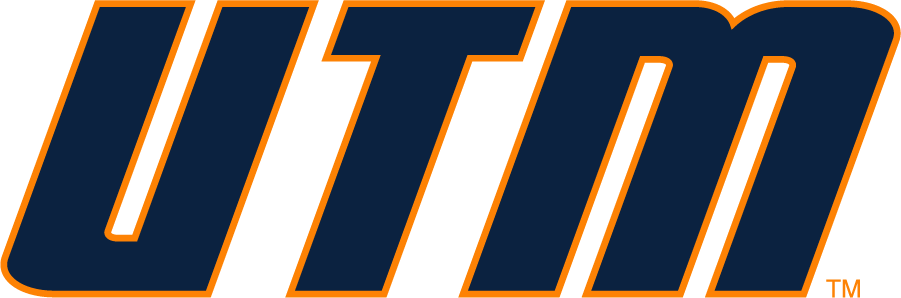 Tennessee-Martin Skyhawks 2007-2020 Wordmark Logo DIY iron on transfer (heat transfer)